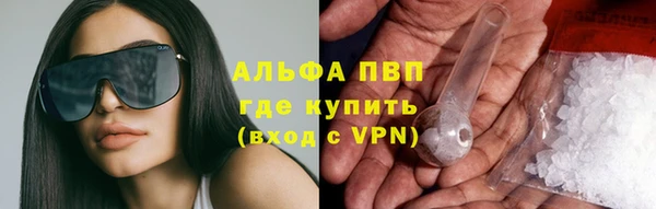 прущие грибы Алексеевка