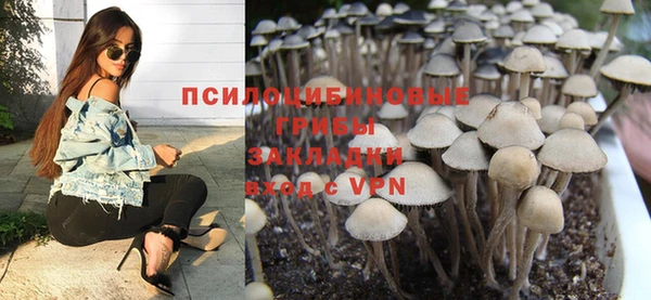 Альфа ПВП Осташков
