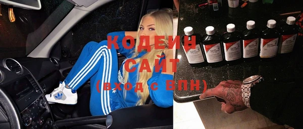 индика Алзамай