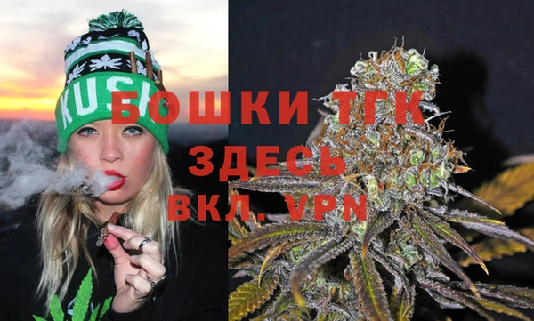 ПСИЛОЦИБИНОВЫЕ ГРИБЫ Осинники