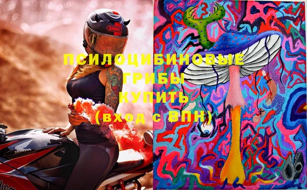 первитин Алексин